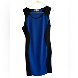 Love Andrea Sleeveless Dress • Size: XL• Used